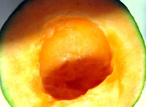 Breakfast Cantalope