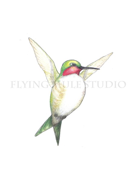Ruby-Throated Hummingbird