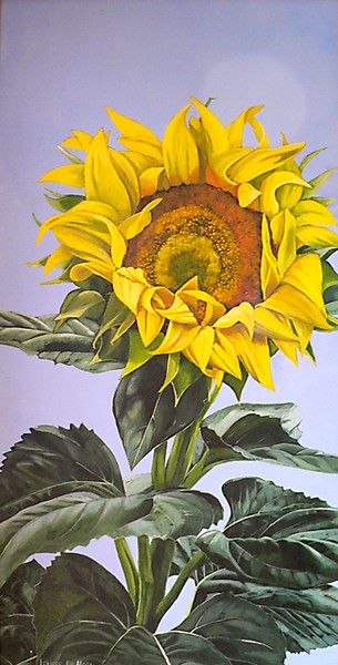 Sunny Days by Lou_art
