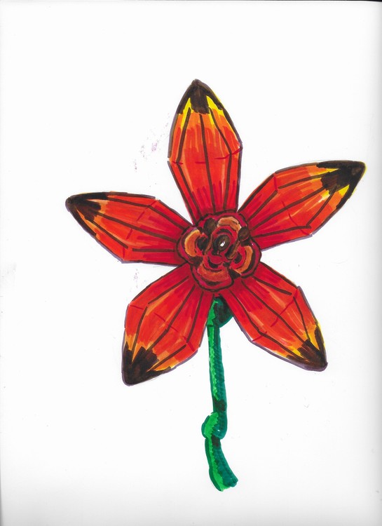 Lily