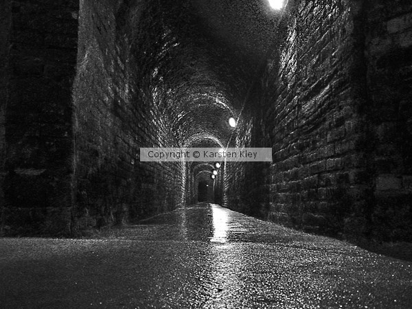 the tunnel