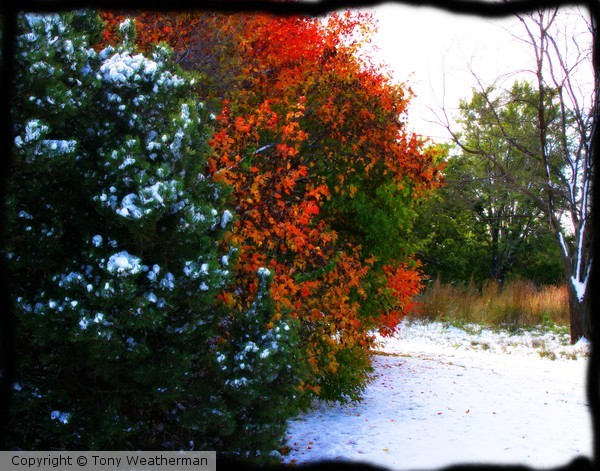Nebraska Fall ne1243