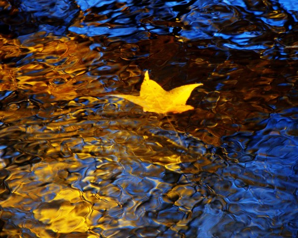 Goodbye For Now 1021 11x14 Print