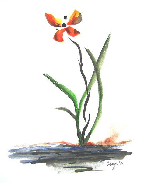 Butterfly Orchid By Stream