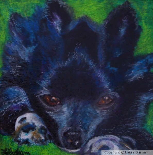 Purple Puppy