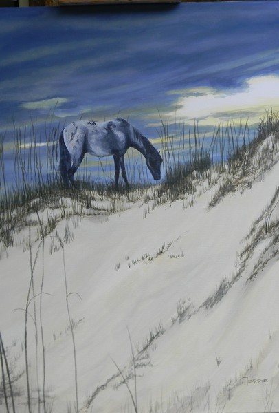 Dune Grazing
