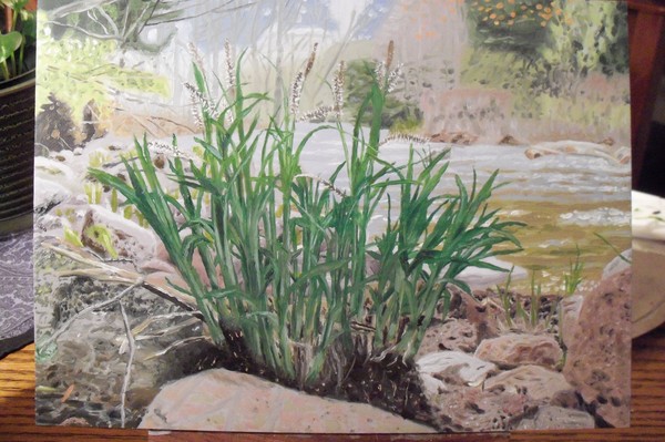 Clump of Grass