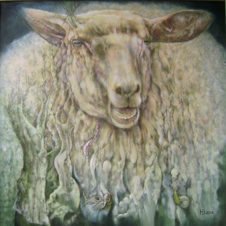 OVIS CLOVIS