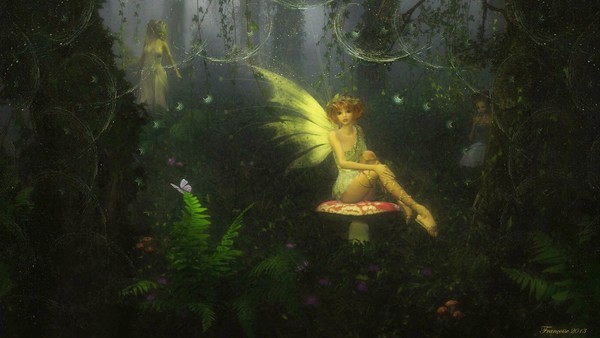 Fairies World