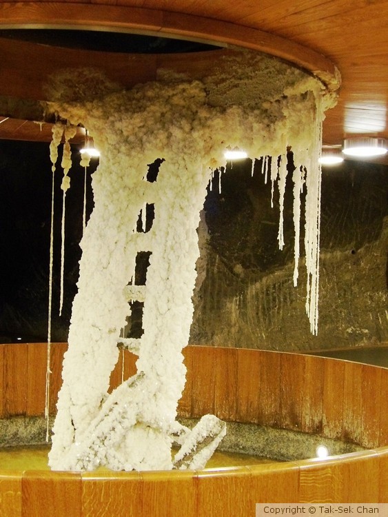 Made of Salt