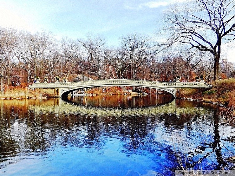 Bow Bridge (1862), the crown jewel of Central Park, NYC, 02-19-2017