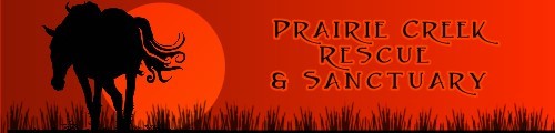 Prairie Creek Rescue Logo 1