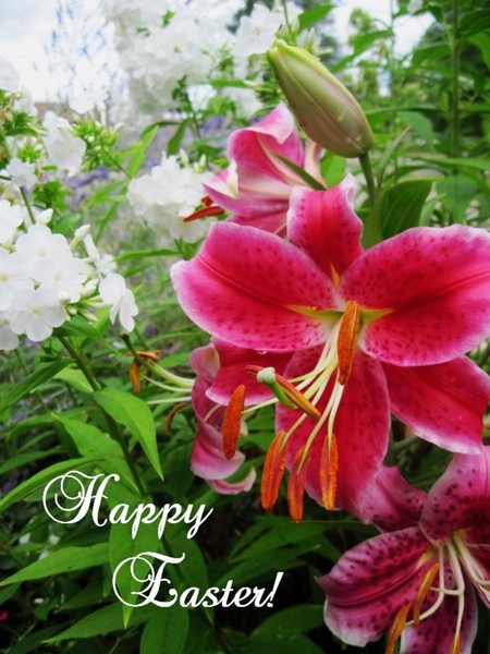 Happy Easter!