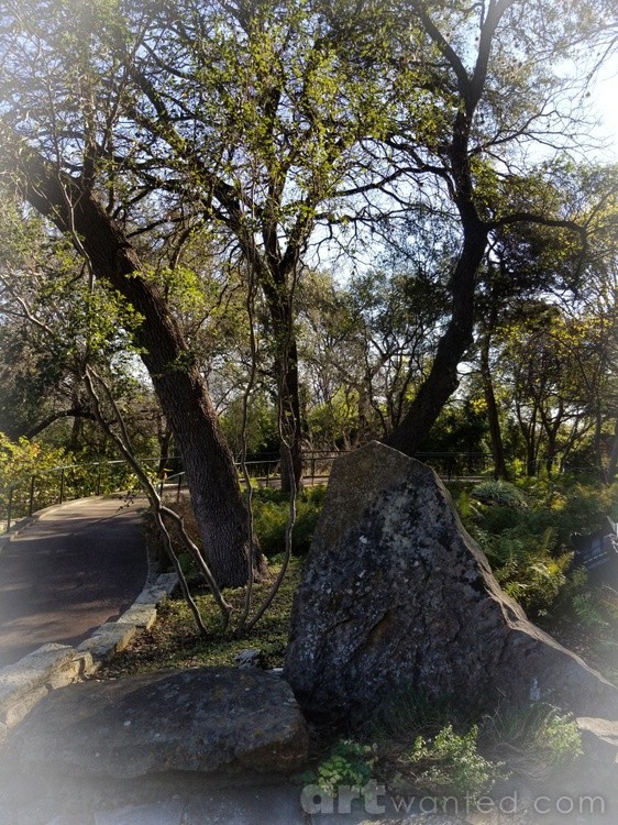 Rock Garden