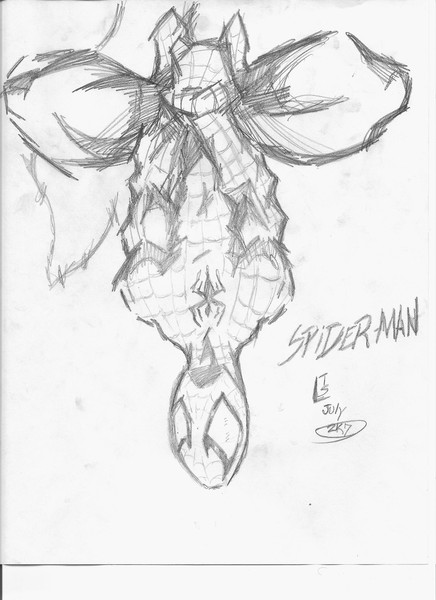 Spiderman: Just hanging