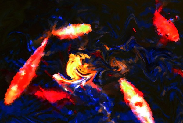 koi pond 3