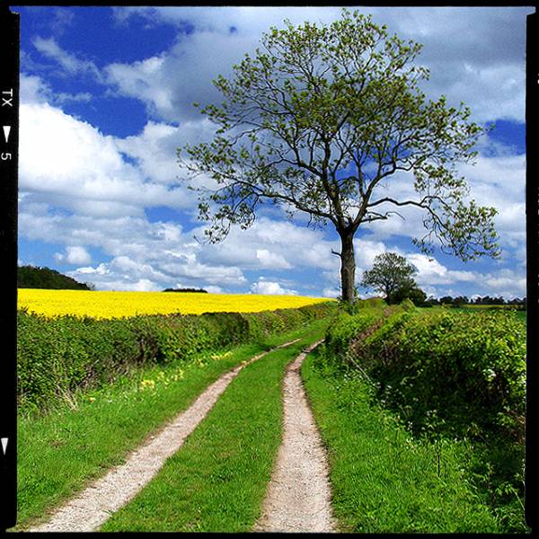 Down The Beaten Track