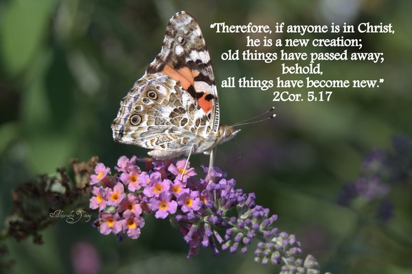 2Cor517