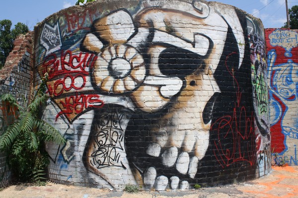 Skull Art