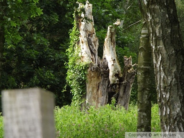 Tree.Creatures