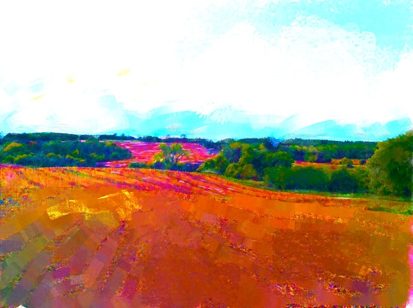 Bakker Farm