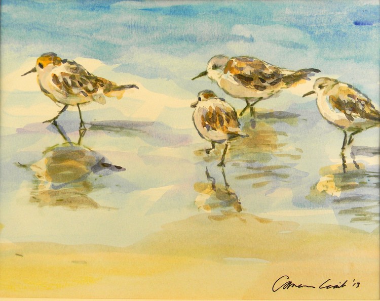 SandPipers