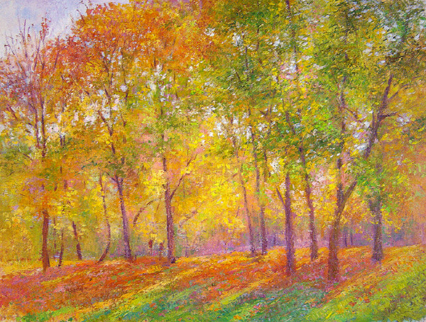 Sunshine streaming through fall trees