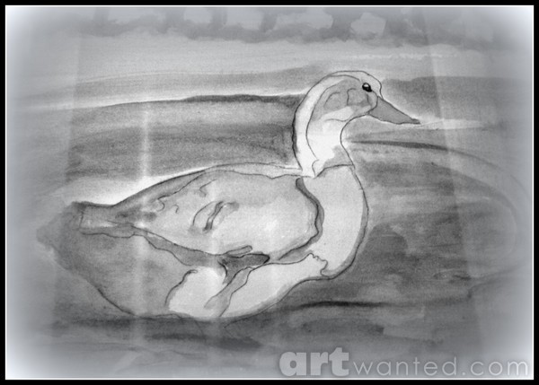Duck takes a swim