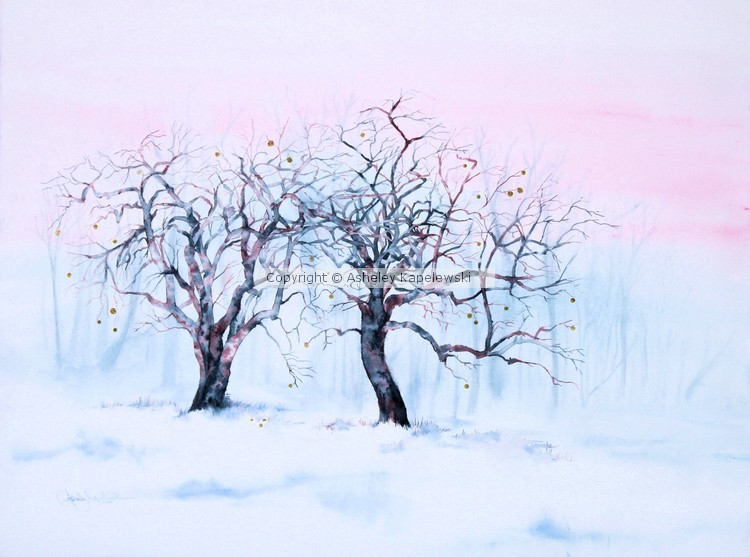 Winter Apples