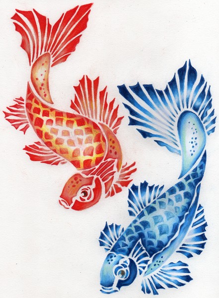 Koi