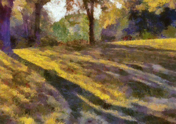 Landscape #6
