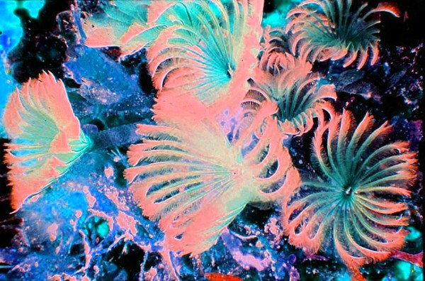 abstract