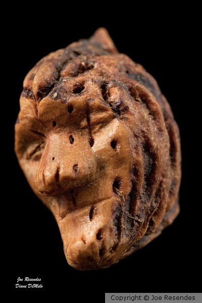 Carved Peach Pit: Joyful