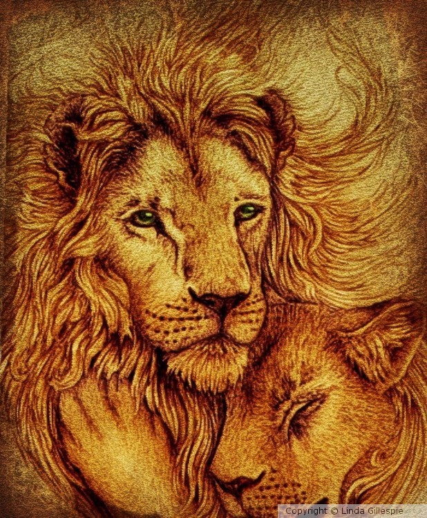 Golden Lion and his Mate