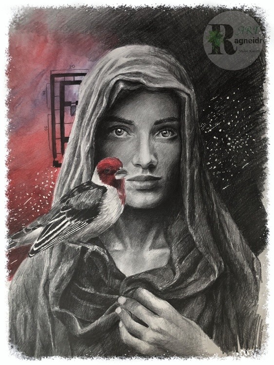 red bird 