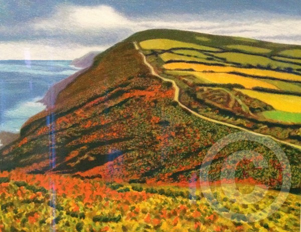 Coastal path