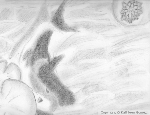Koi Charcoal