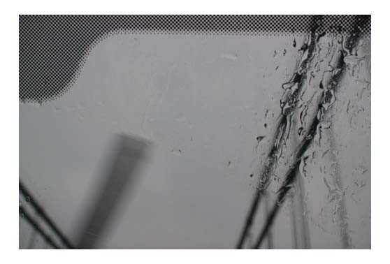 umbrella_1