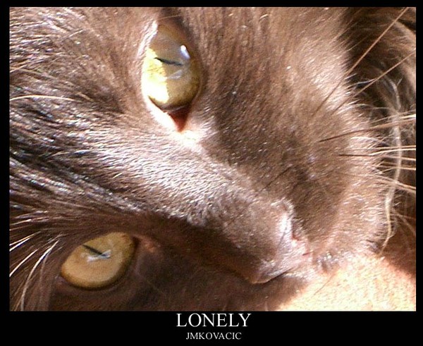 Lonely