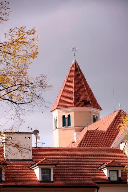 Roofs Of Cesky Krumlov - 4