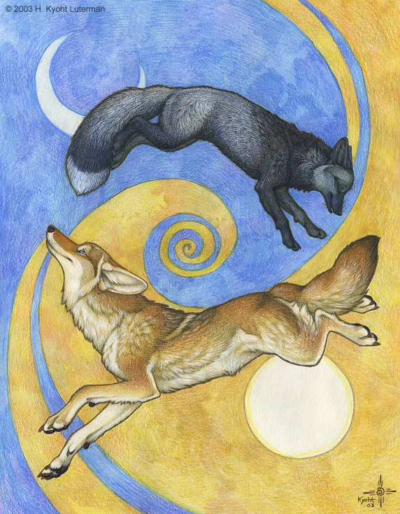 The Fox and The Coyote