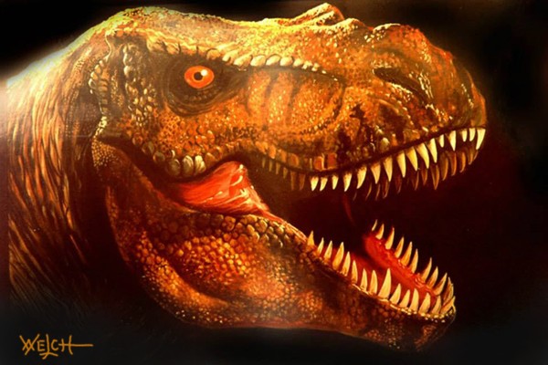 T REX