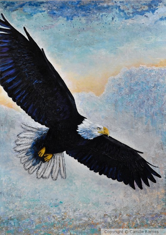 Soaring Eagle