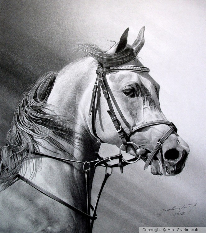 ARABIAN BEAUTY