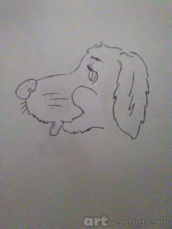 Dog 
