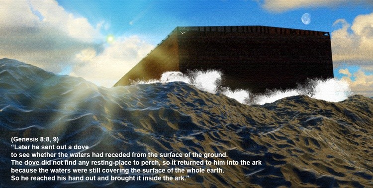 He reached his hand out and brought it inside the ark
