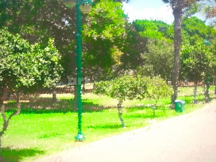 The Raanana Park 6