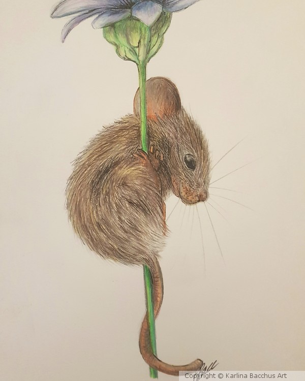 Mouse and Flower 