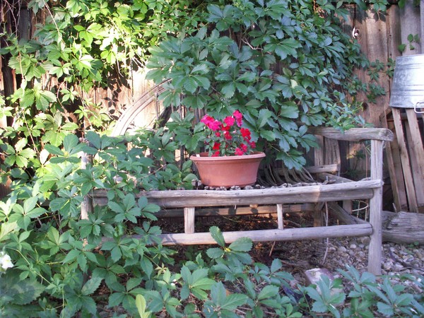 Garden Tour 8