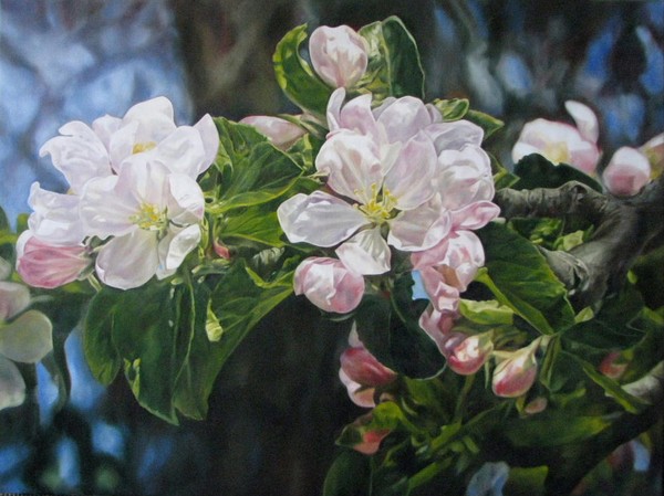 Again Spring